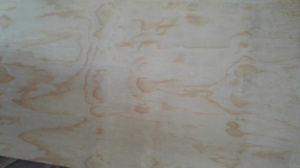 Tablero de chapa <span class=keywords><strong>Okoume</strong></span>, construcción comercial, madera contrachapada, Álamo, material principal, formaldehído E1, 1 año para muebles - Product Image 5