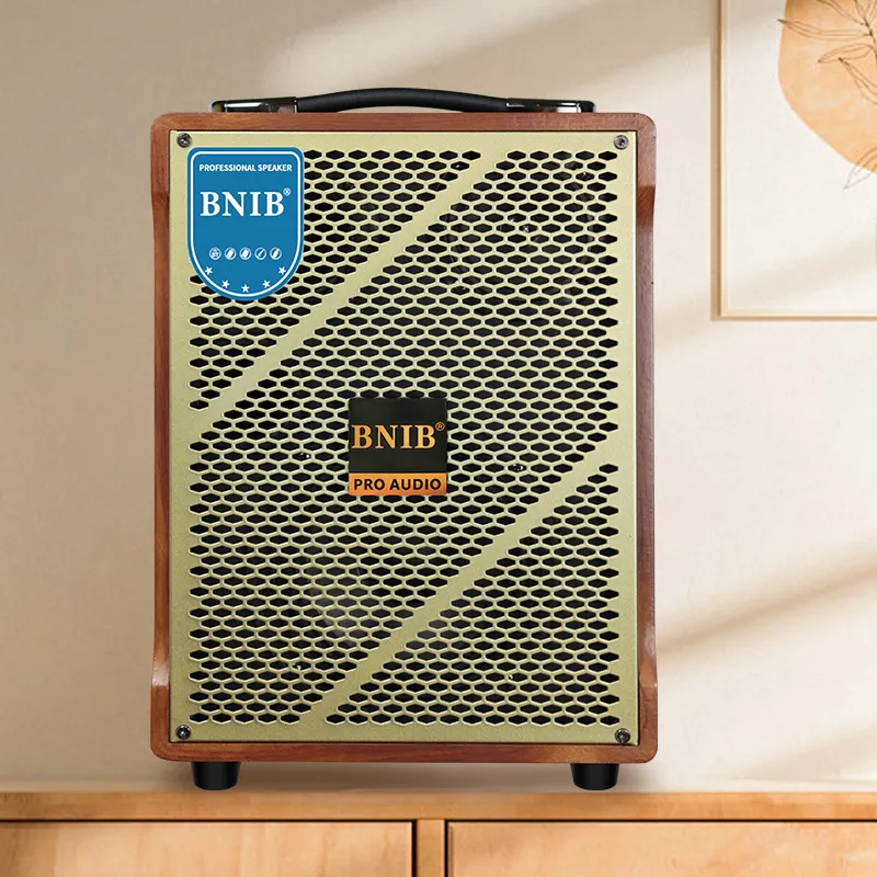 BNIB 2023 новая модель 6,5 дюймов винтажный деревянный корпус беспроводной микрофон Портативный динамик на тележке