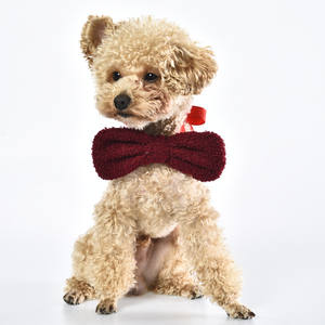 Cama de Lujo para Mascotas con Forma de Hombre de Jengibre Navideño, Adorable Cama para Perros y Gatos con Collar y Lazo - Product Image 6