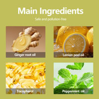 Bille de massage rafraîchissante au curcuma, citron et menthe, roll-on d'aromathérapie essentielle pour le soulagement des démangeaisons, la revitalisation mentale et les piqûres d'insectes