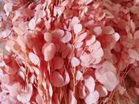 100g Daun Eucalyptus Perak yang Diawetkan dan Diputihkan, Rangkaian Buket Bunga untuk Hari Ibu dan Hari Valentine