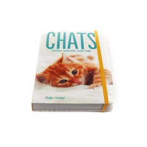 Flexi-<span class=keywords><strong>bound</strong></span> flap stampa del libro gli editori di libri per bambini in cina - Product Image 2