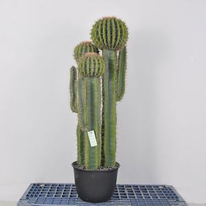 Piante di Cactus Artificiali di Alta Qualità in Diverse Dimensioni, Succulente Realistiche per Merchandising Visivo Commerciale e Scenografie per Banchetti - Product Image 4