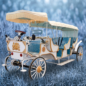 Charrette de tourisme électrique sans chevaux, chariot de tourisme blanc personnalisé, fabricant sur mesure, à vendre - Product Image 1