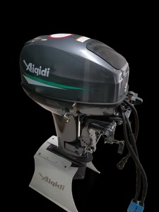Moteur de bateau 15HP 72V avec moteur sans balais à arbre long - Product Image 1