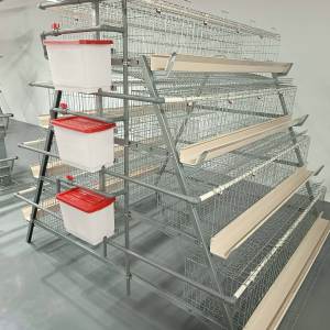 Jaula Galvanizada para Cría <span class=keywords><strong>de</strong></span> <span class=keywords><strong>Aves</strong></span> <span class=keywords><strong>de</strong></span> <span class=keywords><strong>Corral</strong></span>, 120/160 <span class=keywords><strong>Aves</strong></span>, 3/4 Niveles, para Gallinas Ponedoras, Producción <span class=keywords><strong>de</strong></span> Huevos, en Venta - Product Image 6