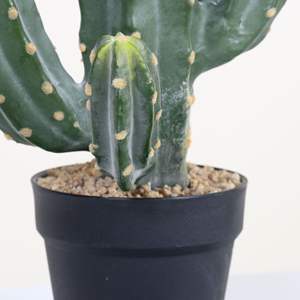Plantes artificielles en plastique, cactus, plantes vertes, paysage désertique, décoration intérieure/extérieure, fausses plantes tropicales - Product Image 3