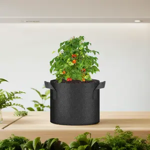 Hot Sales Non-woven Durable Growth Plant Potato 10 Gallons Grow Bags Seedling Fabric Pot