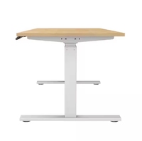 Une variété de bureaux d'ordinateur de levage électrique Design ergonomique en métal Différentes tailles et spécifications au choix