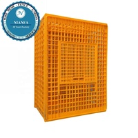 Cage/Caisse/Boîte de transport pour volailles (poulets/canards/pigeons/colibris) en treillis métallique soudé – Directement de l'usine de Guangzhou