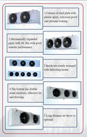 Equipo de Refrigeración de Alto Flujo para Trabajo Pesado, Unidad de Enfriamiento Industrial para Cámaras Frigoríficas, Sistema de Solución Térmica Profesional