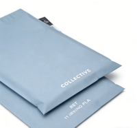 Sac d'expédition mat personnalisé pour l'emballage de vêtements de petites entreprises