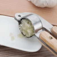 Prensa de Ajo de Acero Inoxidable, Triturador y Picador de Ajo, Jengibre, Nueces y Semillas, Utensilio de Cocina Resistente
