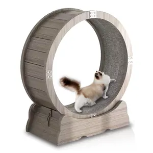 Nieuw Ontwerp Ronde Houten Kat Hond Leuke Loopband Speelgoed Kat Oefen Wiel Loopwiel Voor Katten