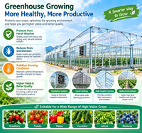 Kit complet de serre agricole de haute qualité avec gouttières de plantation pour légumes et fraises
