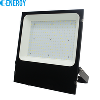 Reflector LED Impermeable IP66 de Venta Caliente, 100-277v, 50w, 100W, 150w, 200w, 5 Años de Garantía, Reflector LED para Exteriores