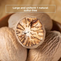 Nouvelle Récolte Muscade Entière Séchée AD Aromatique Jaiphal 50Kg Vente en Gros Directe Usine Chine Faible MOQ Service d'Étiquetage Personnalisé