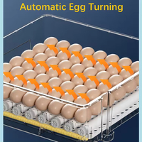 Incubateur automatique pour œufs, mini incubateurs pour l'éclosion des œufs, machine à couver les œufs de poulet, machine à couver les œufs de reptiles, d'oiseaux ou de canards