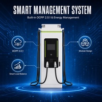 Station de recharge rapide DC pour véhicules électriques 120kW 150kW 180kW, chargeur double pistolet CCS2 GBT, OCPP RFID pour véhicules électriques chinois et européens, recharge haute puissance