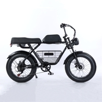 Vélo Électrique 2025 48V 1000W 2000W VTT Fatbike Cadre en Acier Batterie Lithium Pneus Larges 20 Pouces Ebike Pas Cher Direct Usine