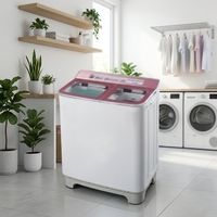 2026 Hot Selling 9KG Washing Machine Fast Safe Pulsator Semiautomatic Double Tub Washer for Africa Market