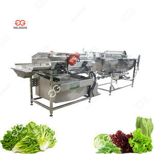 Chất Lượng Cao Rau Sạch Khô Dòng Màu Xanh Lá Cây Lá Rau Máy Rửa Rau Và Trái Cây Dây chuyền Rửa - Product Image 3