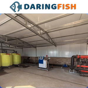 DaringFish Machine Intégrée Entièrement Automatique pour l'Apport d'Engrais en Eau, Motorisée et Intelligente, pour l'Agriculture IoT, Système d'Arrosage Goutte-à-Goutte/Par Aspersion pour Vergers - Product Image 5