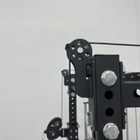 FOUX DLR10 Machine Smith multifonction en acier inoxydable avec rack à câbles croisés et pile de poids de 80 kg pour usage domestique et commercial