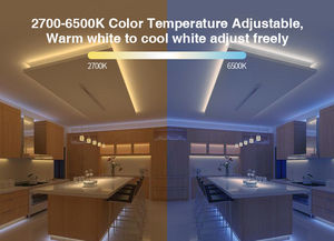 ตัวควบคุมไฟ LED สองสีแบบไร้สาย 2.4G WW/CW Zigbee - Product Image 5