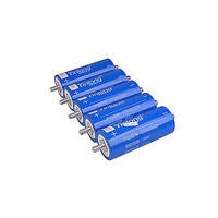 Batterie cylindrique rechargeable LTO 66160A 25AH 30AH 40AH 45AH 2.3V LTO 48v Lifepo4 pour appareil photo en stock
