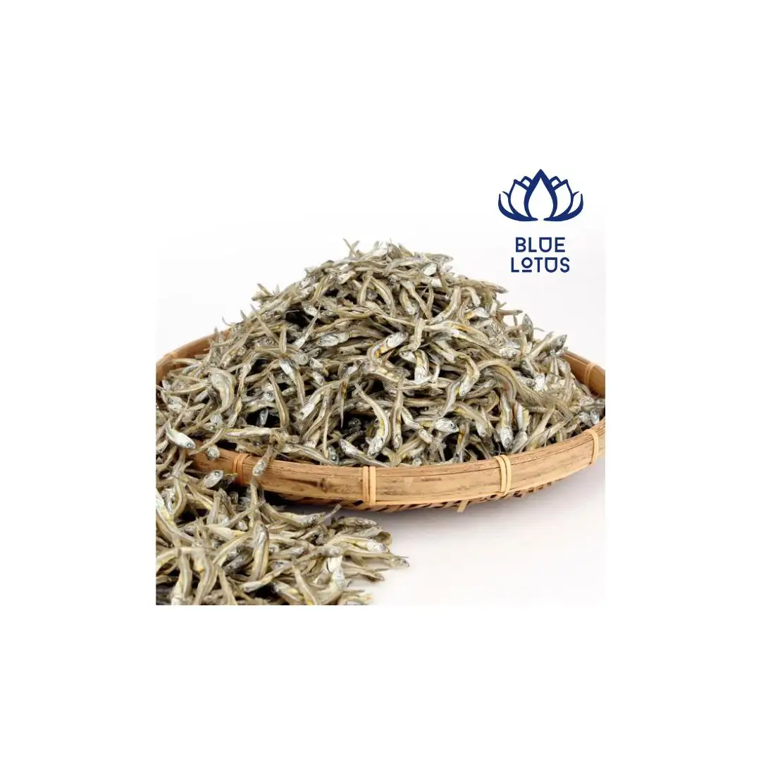 Premium Dried Fish Anchovy Export Standard Food and Pet Products Black Salted Anchovy Dry Fish Top Seafood