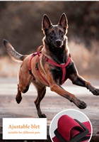 Nouveau Harnais pour Chien Anti-traction Robuste et Anti-explosion pour Grands Chiens, Sangle de Poitrine pour Animaux de Compagnie