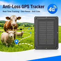 Rastreador GPS Beidou LBS 4G Celular Solar, Resistente al Agua IP67, Sin SIM, Mini Cápsula para Ovejas, Sistema de Rastreo Animal para Ganado