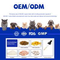 Supplément probiotique personnalisable pour animaux de compagnie sans caca à mâcher pour empêcher le chien de manger du caca Suppléments de champignons de soins de santé