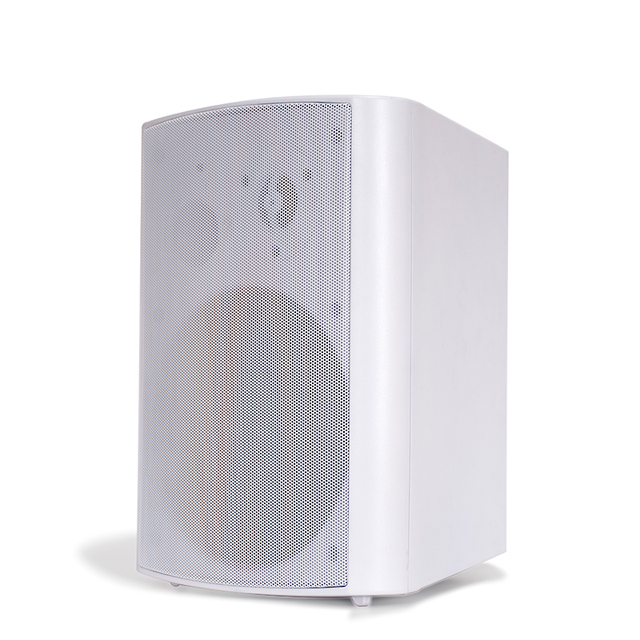 Wall Mounted Speaker WiFi 2.4G&5G BT5.4 USB AUX Remote Control Multi-room Playback 100W X2 HiFi Home Audio System
