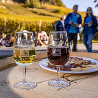 Verre à vin en plastique Tritan 220 ml avec logo personnalisé, résistant aux chocs, lavable au lave-vaisselle, idéal pour la dégustation du vin rouge lors de mariages et de fêtes
