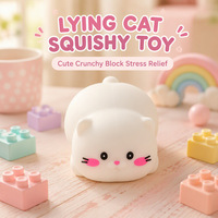 Jouet à presser écologique pour chat, blocs de construction moelleux et craquelaux, jouet anti-stress de bureau, boîte mystère, jouet de décompression moelleux et élastique