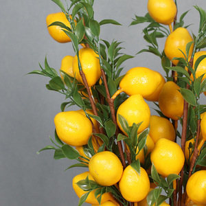 Flor Artificial de limón para decoración del hogar, arreglo de plantas de Año Nuevo, fruta realista, 5 cabezas, rama de hoja de limón, <span class=keywords><strong>Photostudio</strong></span> - Product Image 3