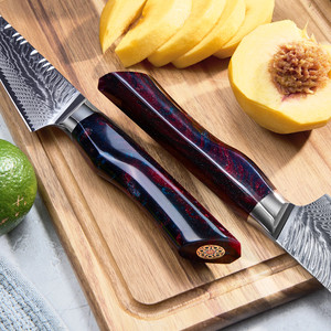 <span class=keywords><strong>Set</strong></span> di <span class=keywords><strong>Coltelli</strong></span> da Chef Giapponesi Amber Personalizzati in Acciaio Damasco a 73 Strati AUS10 con Manico in Resina <span class=keywords><strong>per</strong></span> Tagliare la <span class=keywords><strong>Carne</strong></span> - Product Image 5