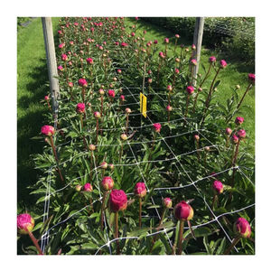 Filet treillis HDPE pour plantes grimpantes-Maille de soutien robuste pour concombre, tomate, pois et filet pour plantes de jardin - Product Image 1