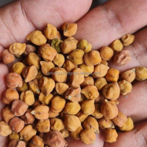 Kacang Kapri Segar Matang Berkualitas Premium 25kg Siap Makan Camilan Siap Kirim Grosir Dari Indonesia