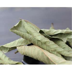 Высокое качество, оптовая продажа, новые высушенные натуральные листья псидия гуахава, не экстракт для продажи - Product Image 5