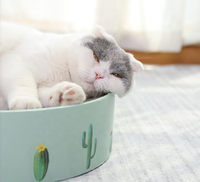 Tempat tidur kucing bulat mebel kardus bergelombang dengan fitur sederhana berkelanjutan untuk kucing tidur menggaruk Catnip
