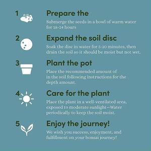 Maceta de cerámica <span class=keywords><strong>Bonsai</strong></span> Tree DIY Starter <span class=keywords><strong>Kit</strong></span> de jardín hidropónico con 13 piezas Herramientas de bambú para uso en el hogar y la guardería - Product Image 6