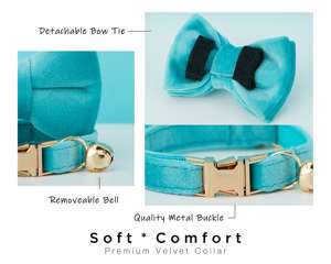 Turquoise Veet personnalisé chat et petit chien collier nœud laisse ensemble, personnalisé gravé chaton chiot nom étiquette, gratuit or cloche, mâle - Product Image 5