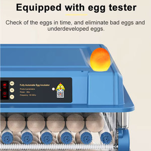 Incubateur automatique pour œufs de poulet 100 200 300, double alimentation, 3 <span class=keywords><strong>en</strong></span> 1 : incubation, écloserie et éleveuse, machine tout-<span class=keywords><strong>en</strong></span>-un - Product Image 5