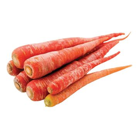 Zanahoria Estándar de Exportación, 99% de Pureza, 85% de Germinación, con Forma Uniforme, Color Brillante, Crecimiento Fuerte, Excelente Cosecha