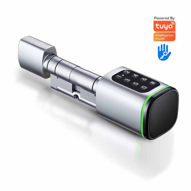 Euro Standard Smart Cylinder TTlock Tuya APP Adjustable Electronic Password Card Memory Card Compatible Wood Door Smart Lock