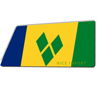 Tapis de sol d'intérieur à motif drapeau de Sainte-Kitts-et-Névis, tapis d'entrée, tapis de bienvenue extérieur, tapis de sol à profil bas pour entrée et patio