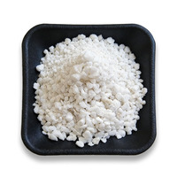 Perlite de haute pureté non toxique pour substrat de culture de semis – Remise sur les commandes importantes pour les fermes commerciales de semis et les fournisseurs de plantes fleurs